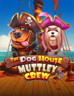 เล่นแบบมือโปรด้วยรหัสทดลอง maxbet